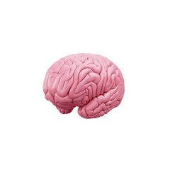 Brain 3d thinking brain