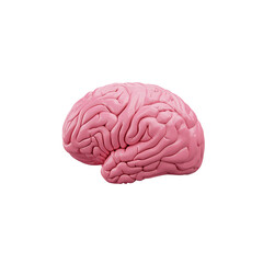 Brain 3d thinking brain