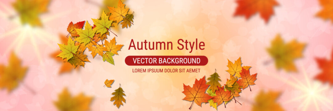 Autumn cartoon style blurred vector background with colorful leaves