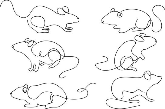 continuous line drawing of rat vector set illustration