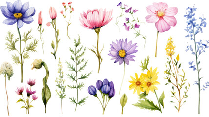 a collection of soft watercolor alpine flowers isolated on a transparent background, generative ai