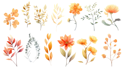 a collection of soft watercolor autumn flowers isolated on a transparent background, generative ai