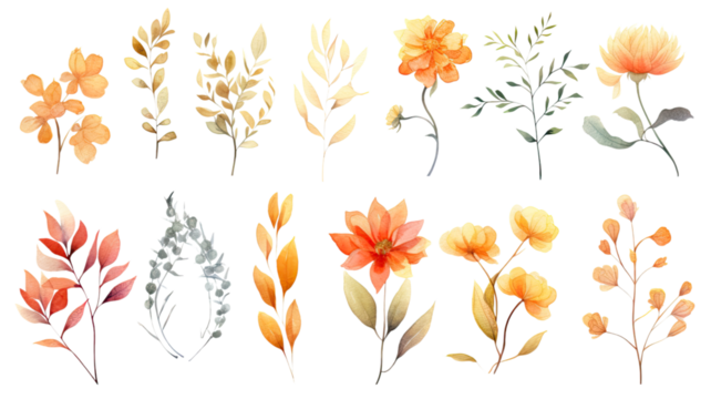 a collection of soft watercolor autumn flowers isolated on a transparent background, generative ai