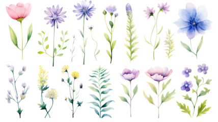 a collection of soft watercolor spring flowers isolated on a transparent background, generative ai