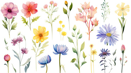 a collection of soft watercolor summer flowers isolated on a transparent background, generative ai