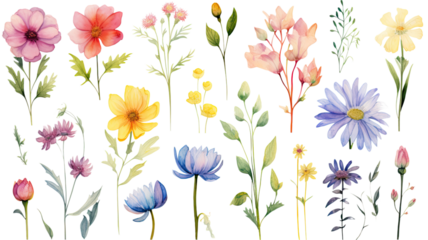 a collection of soft watercolor summer flowers isolated on a transparent background, generative ai