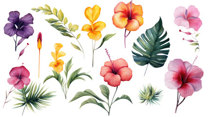 a collection of soft watercolor tropical beach flowers isolated on a transparent background, generative ai