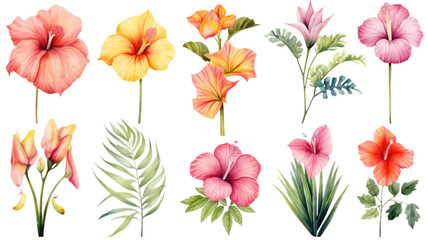 a collection of soft watercolor tropical beach flowers isolated on a transparent background, generative ai