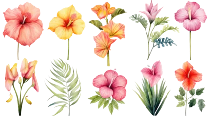 Badezimmer Foto Rückwand a collection of soft watercolor tropical beach flowers isolated on a transparent background, generative ai © Perfect PNG