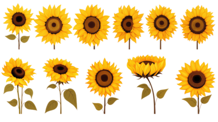 collection of hand drawn sunflowers flowers isolated on a transparent background, generative ai