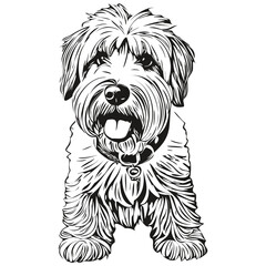 Soft Coated Wheaten Terrier dog pet sketch illustration, black and white engraving vector realistic breed pet