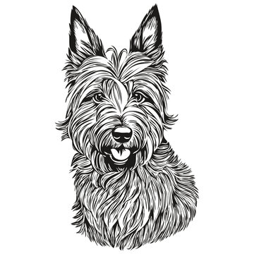 recommend clip art: Scottish Terrier dog logo vector black and white, vintage cute dog head engraved realistic breed pet