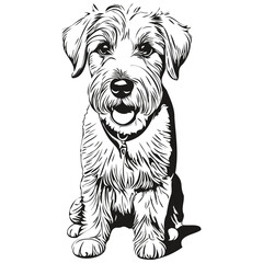Sealyham Terrier dog pet sketch illustration, black and white engraving vector realistic breed pet