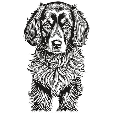 Spaniel Boykin dog silhouette pet character, clip art vector pets drawing black and white realistic breed pet