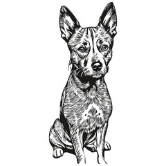 American Hairless Terrier dog outline pencil drawing artwork, black character on white background