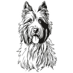Bearded Collie dog breed line drawing, clip art animal hand drawing vector black and white sketch drawing