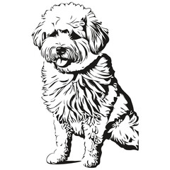 Bichons Frise dog head line drawing vector,hand drawn illustration with transparent background