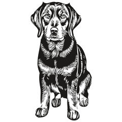 Black and Tan Coonhound dog pencil hand drawing vector, outline illustration pet face logo black and white realistic breed pet