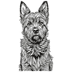Border Terrier dog silhouette pet character, clip art vector pets drawing black and white