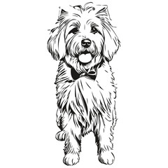 Coton de Tulear dog hand drawn logo drawing black and white line art pets illustration sketch drawing