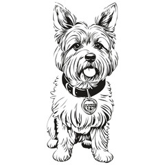 Dandie Dinmont Terriers dog realistic pet illustration, hand drawing face black and white vector sketch drawing