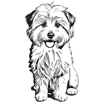 Coton de Tulear dog t shirt print black and white, cute funny outline drawing vector realistic pet silhouette