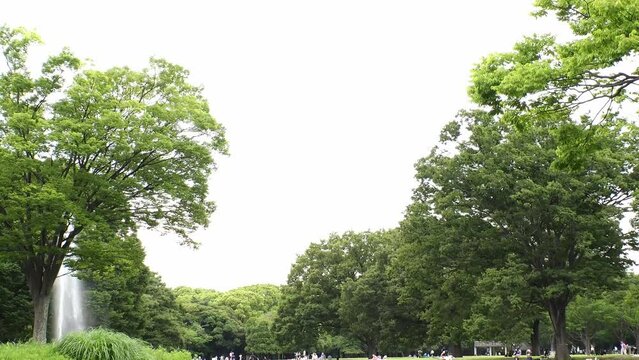 SHIBUYA, TOKYO, JAPAN - JUNE 2023 : View of YOYOGI PARK in sunny daytime. Time lapse shot. City and nature concept 4K video.