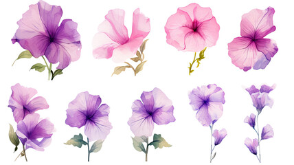 a collection of grunge oil painted petunias flowers isolated on a transparent background, generative ai - obrazy, fototapety, plakaty
