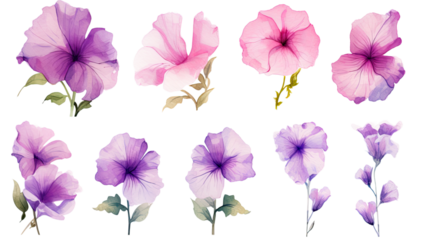 a collection of grunge oil painted petunias flowers isolated on a transparent background, generative ai