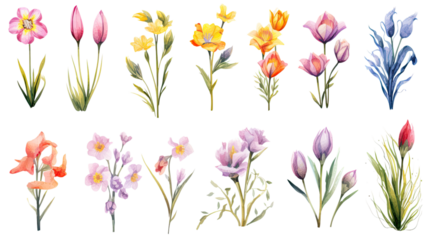 a collection of grunge oil painted spring flowers isolated on a transparent background, generative ai