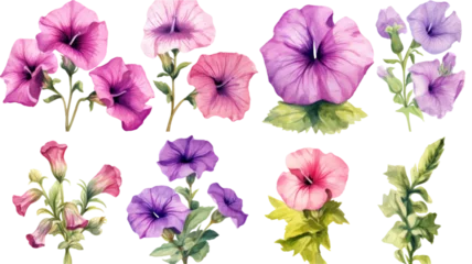 Foto op Aluminium a collection of grunge oil painted petunias flowers isolated on a transparent background, generative ai © Perfect PNG