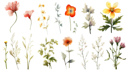 a collection of grunge oil painted spring flowers isolated on a transparent background, generative ai