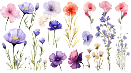 a collection of grunge oil painted spring flowers isolated on a transparent background, generative ai