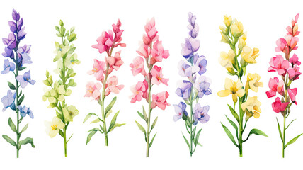 a collection of soft watercolor snapdragons flowers isolated on a transparent background, generative ai