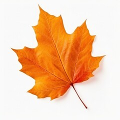 Autumn leaf isolated. Illustration AI Generative.