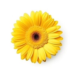 Fototapeta premium Gerbera flower isolated. Illustration AI Generative