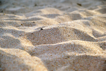 Fototapeta na wymiar Close up of clean yellow sand surface covering seaside beach illuminated with day light. Travel and vacations concept