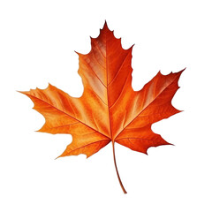 Fototapeta premium Autumn leaf isolated. Illustration AI Generative.