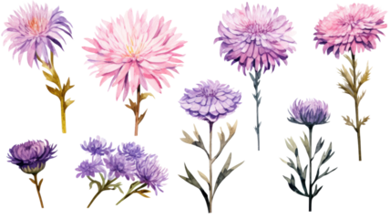 a collection of grunge oil painted asters isolated on a transparent background, generative ai