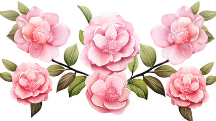a collection of grunge oil painted camellias isolated on a transparent background, generative ai