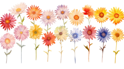 a collection of grunge oil painted daisies isolated on a transparent background, generative ai