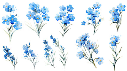 a collection of grunge oil painted forget-me-nots isolated on a transparent background, generative ai