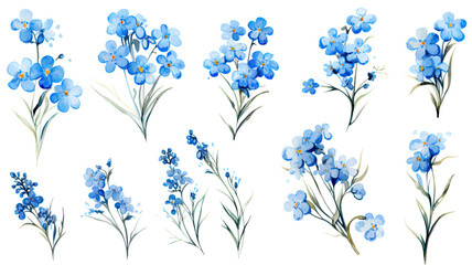 Fototapeta premium a collection of grunge oil painted forget-me-nots isolated on a transparent background, generative ai