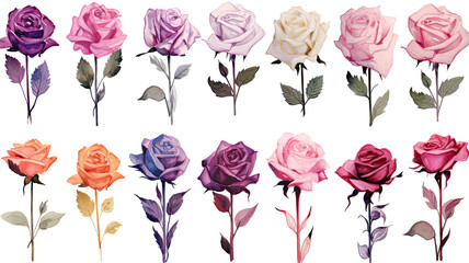 a collection of grunge oil painted roses flowers isolated on a transparent background, generative ai