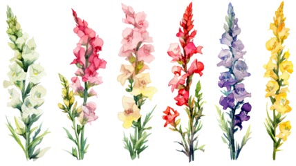 a collection of grunge oil painted snapdragons flowers isolated on a transparent background, generative ai