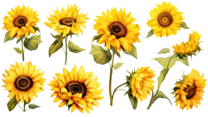 Deurstickers a collection of retro oil painted sunflowers flowers isolated on a transparent background, generative ai © Perfect PNG