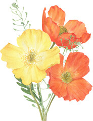 Naklejka premium Composition of summer flowers hand-drawn in watercolor.