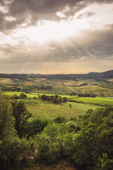 Fototapeta na wymiar sunset over the hills in tuscany, italy
