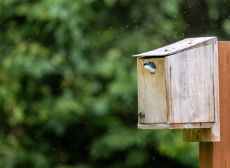 Checking the weather