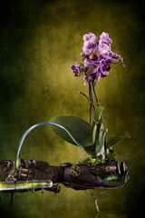 Le mano del robot ha un fiore di orchidea